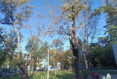 Apartament cochet cu 2 camere, etaj 2/10 situat la 5 minute - 6