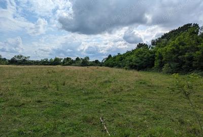 Casă cu 5 camere în Pomi - 1