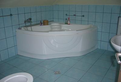Viluta cocheta asteapta proprietari noi - 15
