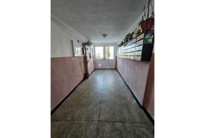 REA1027075 Apartament 2 camere Pantelimon - Mobilat - Utilat - Centrala Proprie - 11