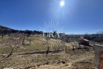 Casă cu 6 camere cu Teren 1100 Mp în Ciurila - 9