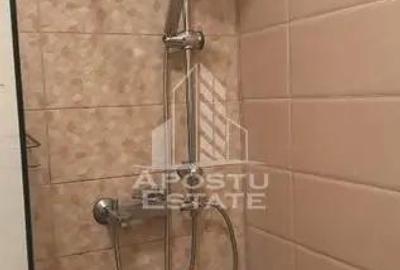 Casa individuala in Mosnita noua, Prima inchiriere, - 17