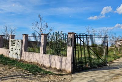 Teren pe malul Lacului Buftea - Crevedia - 7