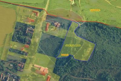 Teren Construcții intravilan de 13412 mp, în Păuliș