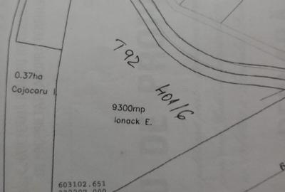 Teren de 9300 mp, în Cozieni