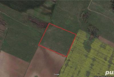 Teren de 6600 mp, în Dragomirești-Deal - 1