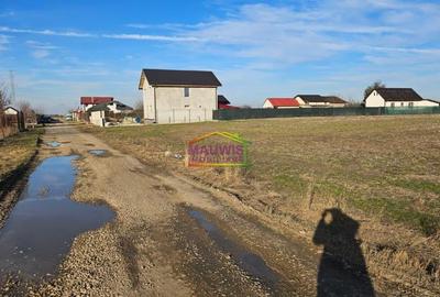 Cornetu  Strada Stejarului - 2