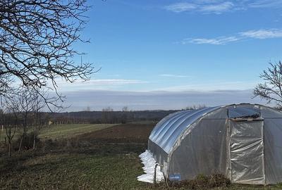 Casă cu 4 camere în Suplacu de Tinca - 4