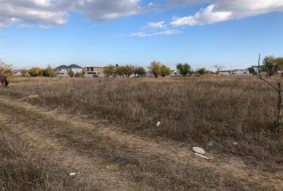 Teren 1000mp Bragadiru Diamantului - 3