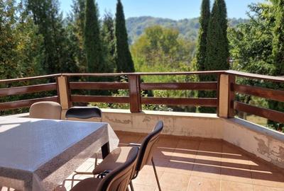 Vila spațioasă 5 dormitoare, Provita de Jos - 4