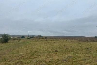 Vanzare 10.000 mp teren Liteni Suceava- la strada -potrivit proiect fonduri - 7