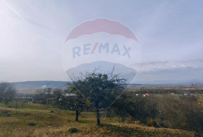 Teren de 3206 mp, în Remecioara - 3