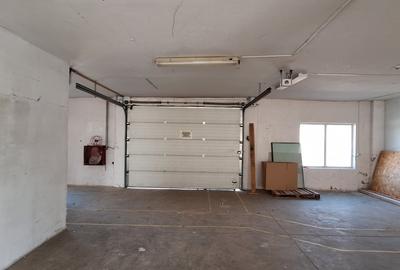 Hala industriala - depozitare, suprafata utila 750 mp, strada Onestilor, Oradea - 12