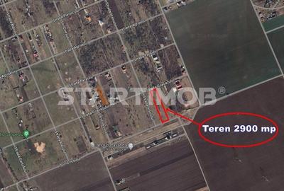 Teren intravilan Livada Sanpetru Teren intravilan Livada Sanpetru - 8