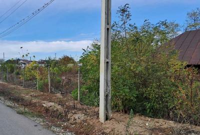 Casă cu 4 camere în Fierbinții de Jos - 2