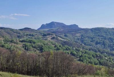 Teren de 30209 mp, în Groșuri - 4