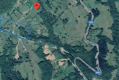 2 parcele de 4265 mp/2804 mp extravilan Transapuseana, sat Macaresti - 6