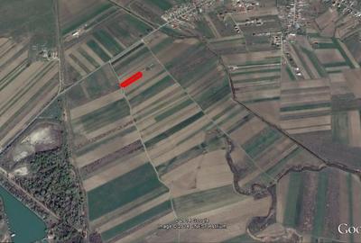 Teren Construcții extravilan de 2750 mp, în Săbăreni - 1