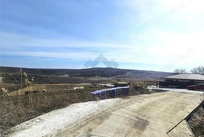 Teren de 500 mp, în Dorobanț - 4