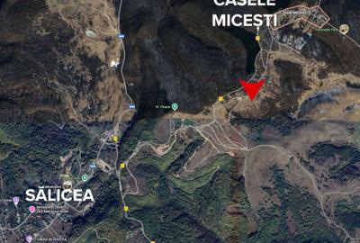 Teren de 920 mp, în Sălicea - 1