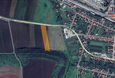 Teren Construcții intravilan de 11800 mp, în Sântandrei - 1