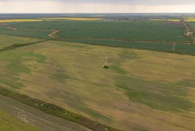 Teren agricol extravilan de 44700 mp, în Exterior Vest - 3