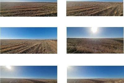 Teren Gradinari, cota 1/2. ID: R1983933 - 2