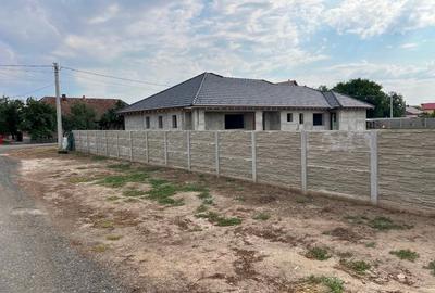 Casa de vânzare pe parter Peciu Nou - 7