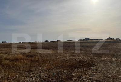 Teren de 5000 mp, în Ghercești - 2