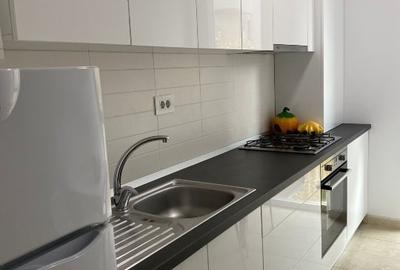 Apartament cu 2 camere decomandat, mobilat în Torontalului - 10