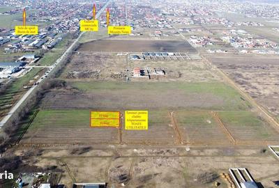 Spațiu comercial, în Moșnița Nouă - 5