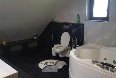 Casa de vânzare direct proprietar lângă Mănăstirea Vladiceni Iasi - 6