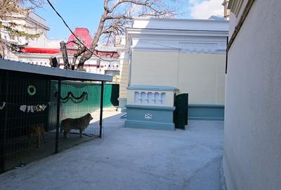 Casă individuală cu 4 camere cu Canalizare în Ultracentral - 11