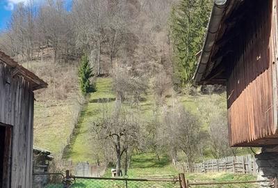 Casă cu 4 camere în Dragoslavele - 4