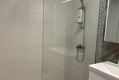APARTAMENT SPATIOS DECEBAL/PIATA UNIRII - 15