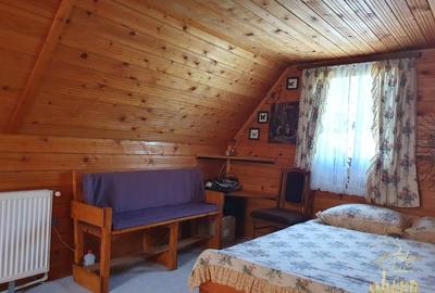 Cabana de lemn cu teren 760 mp de vanzare in Coada Lacului - Bihor - 10