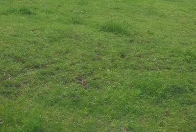 Spațiu comercial, în Central - 8