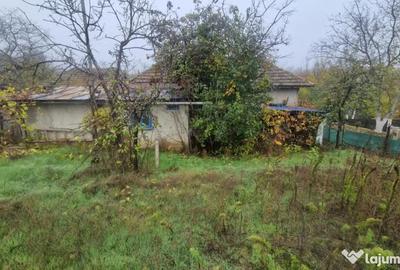 Casă cu 4 camere cu Canalizare în Mineri - 8