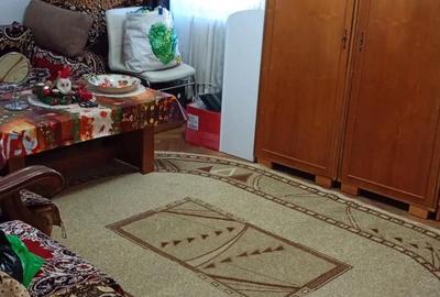 Apartament cu 2 camere decomandat în Aradul Nou - 10