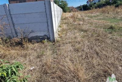 Teren 1491 mp in zona rezidentiala din Ciorogarla Teren 1491 mp in zona rezidentiala din Ciorogarla - 8