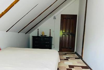 Casa de vacanta in Baiut - 6