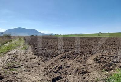 Teren de 15000 mp, în Central - 3