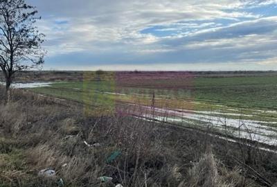 Teren agricol extravilan de 24108 mp, în Sud-Vest - 3