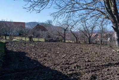 Casă cu 3 camere în Moldovenești - 5