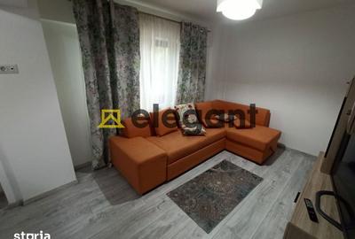 Apartament cu 2 camere semidecomandat, mobilat în Lăpuș Argeș - 3