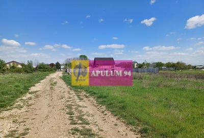 Loc de casa 520 mp, in Sabareni, langa Bucure?ti - 6