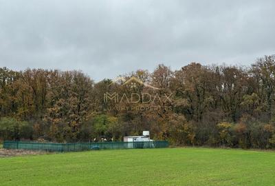 Teren Construcții intravilan de 644 mp, în Balotești - 2