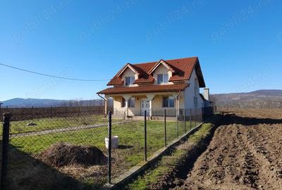 Casă cu Teren 3516 Mp în Aurel Vlaicu - 3