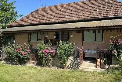 Vand casa de caramida sat Bodesti -comuna Halmagiu Arad - 2