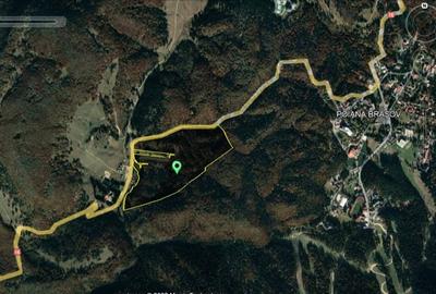 Teren intravilan de 348523 mp, în 13 Decembrie - 1